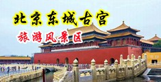 拿男人大鸡巴操女人逼视频中国北京-东城古宫旅游风景区